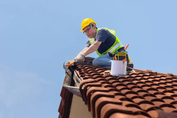 Best Roof Coating and Sealing  in Niagara, WI